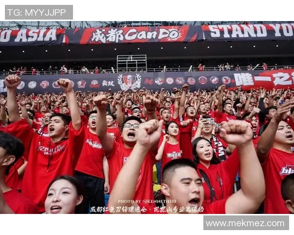 足球赛场的激情瞬间开场句揭示比赛的魅力与期待