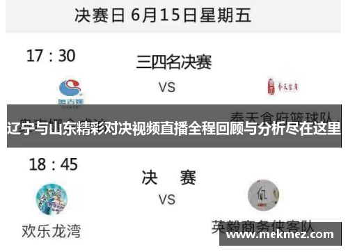 辽宁与山东精彩对决视频直播全程回顾与分析尽在这里